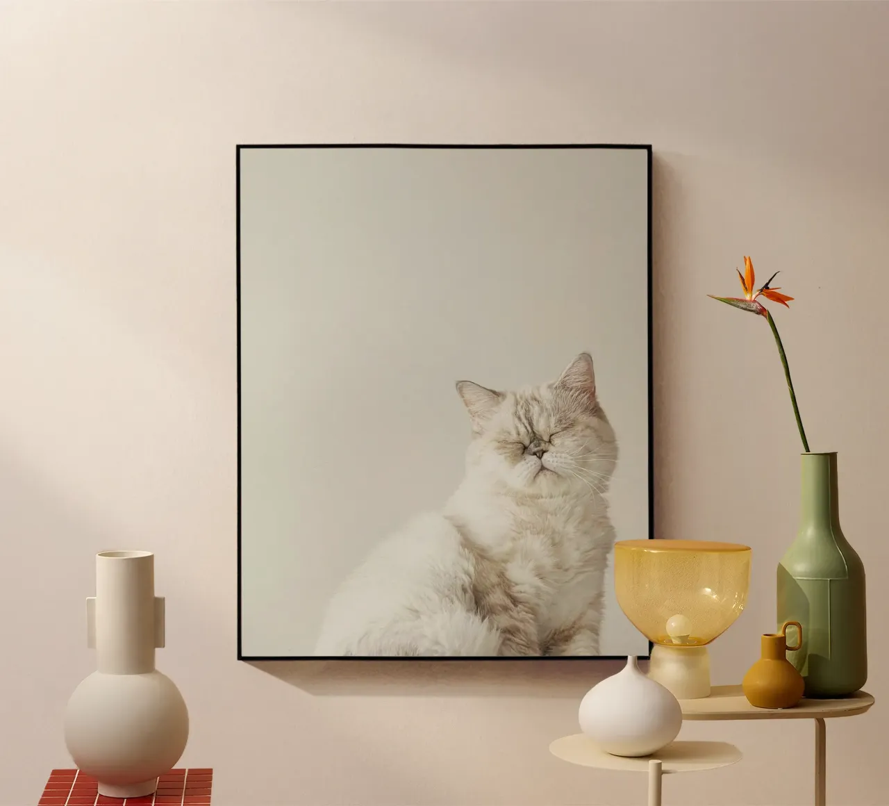 cat chill in shade plexiglass da feny