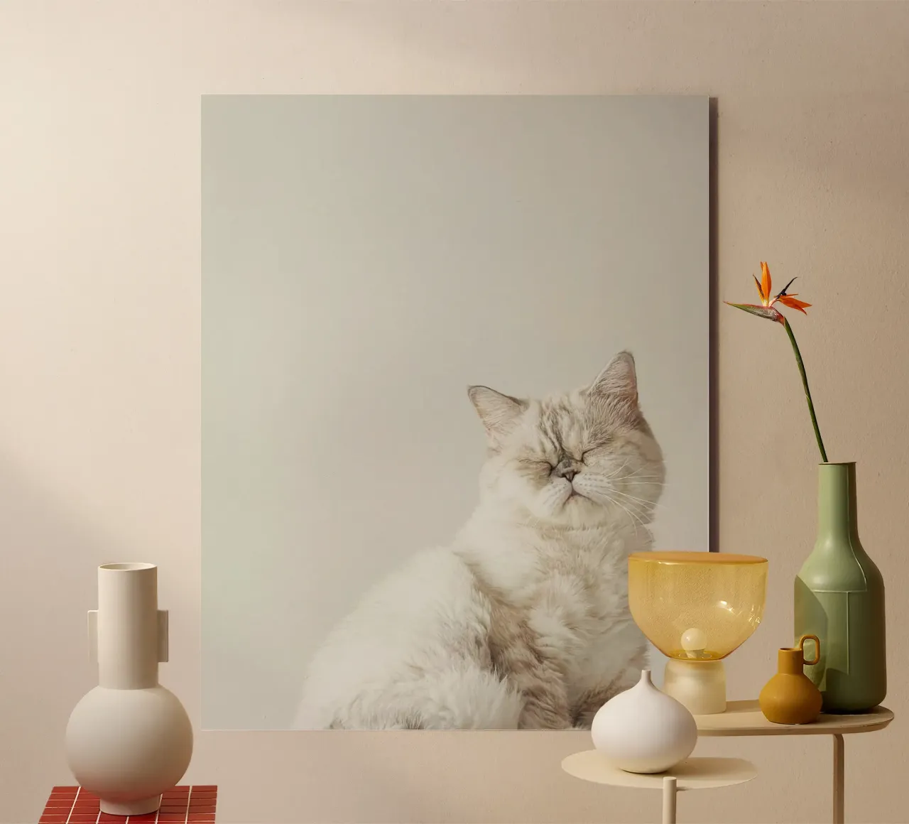 cat chill in shade alluminio dibond da feny