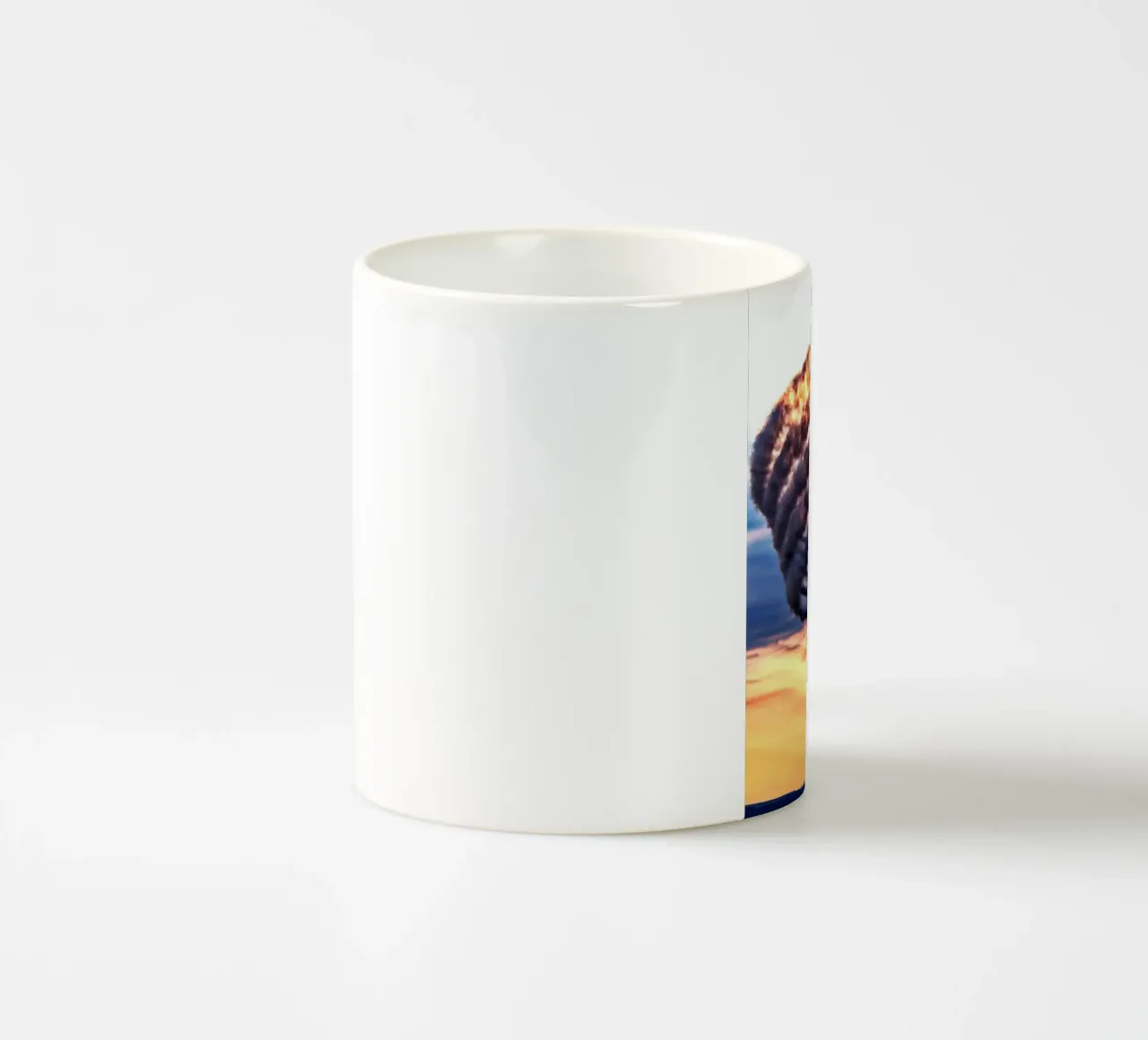 smoke plane on sky tazza in ceramica da feny