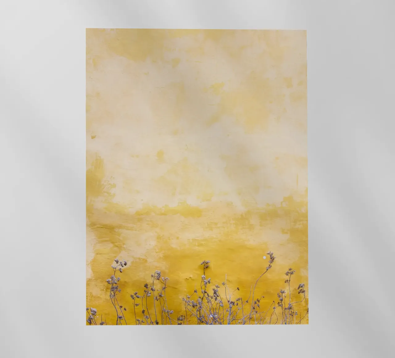 tall grass in yellow shade pellicola backlit da feny
