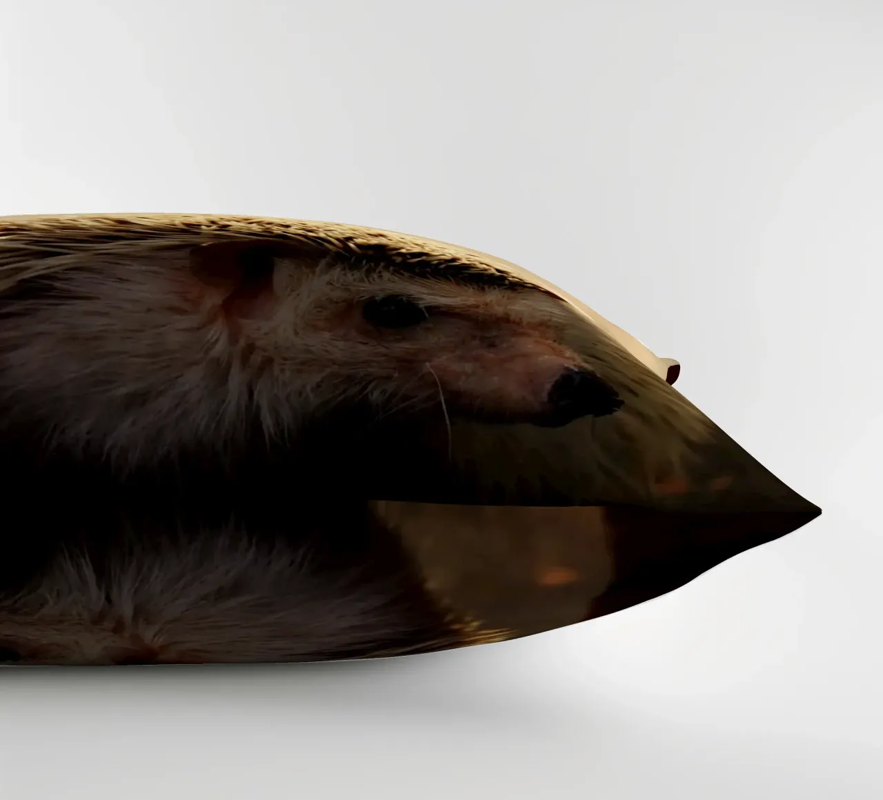 Semplice all'esterno, forte all'interno cuscino da Nature's Palette