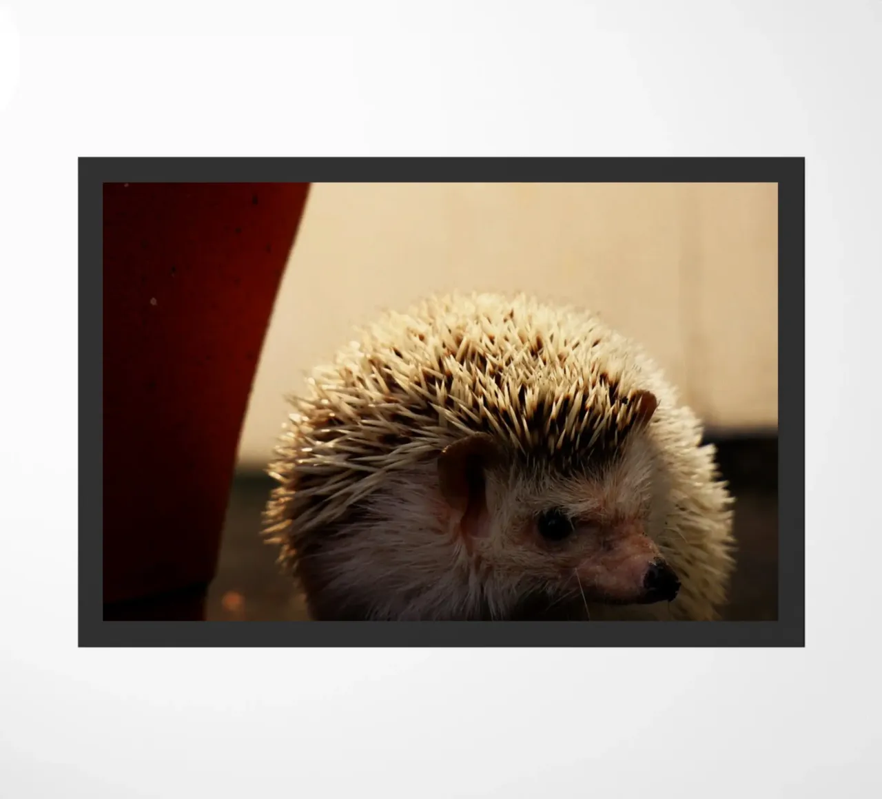 Semplice all'esterno, forte all'interno zerbino da Nature's Palette