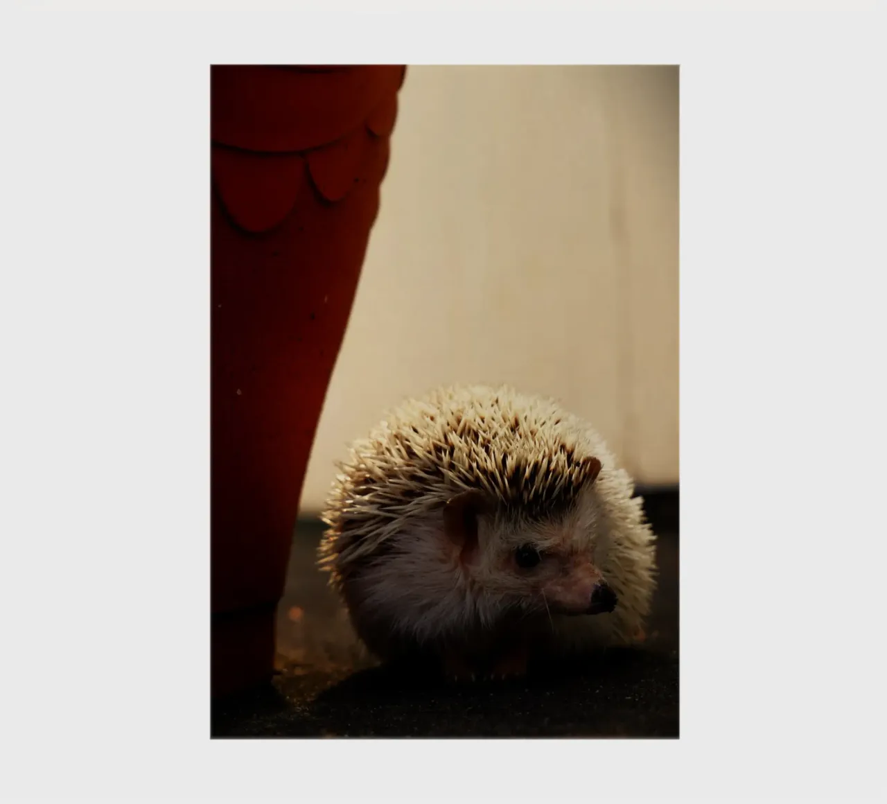 Simple on the outside, strong on the inside notebook by Nature's Palette