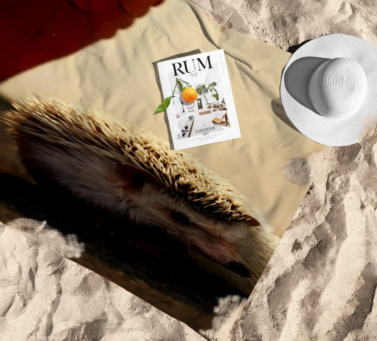 Semplice all'esterno, forte all'interno telo mare da Nature's Palette