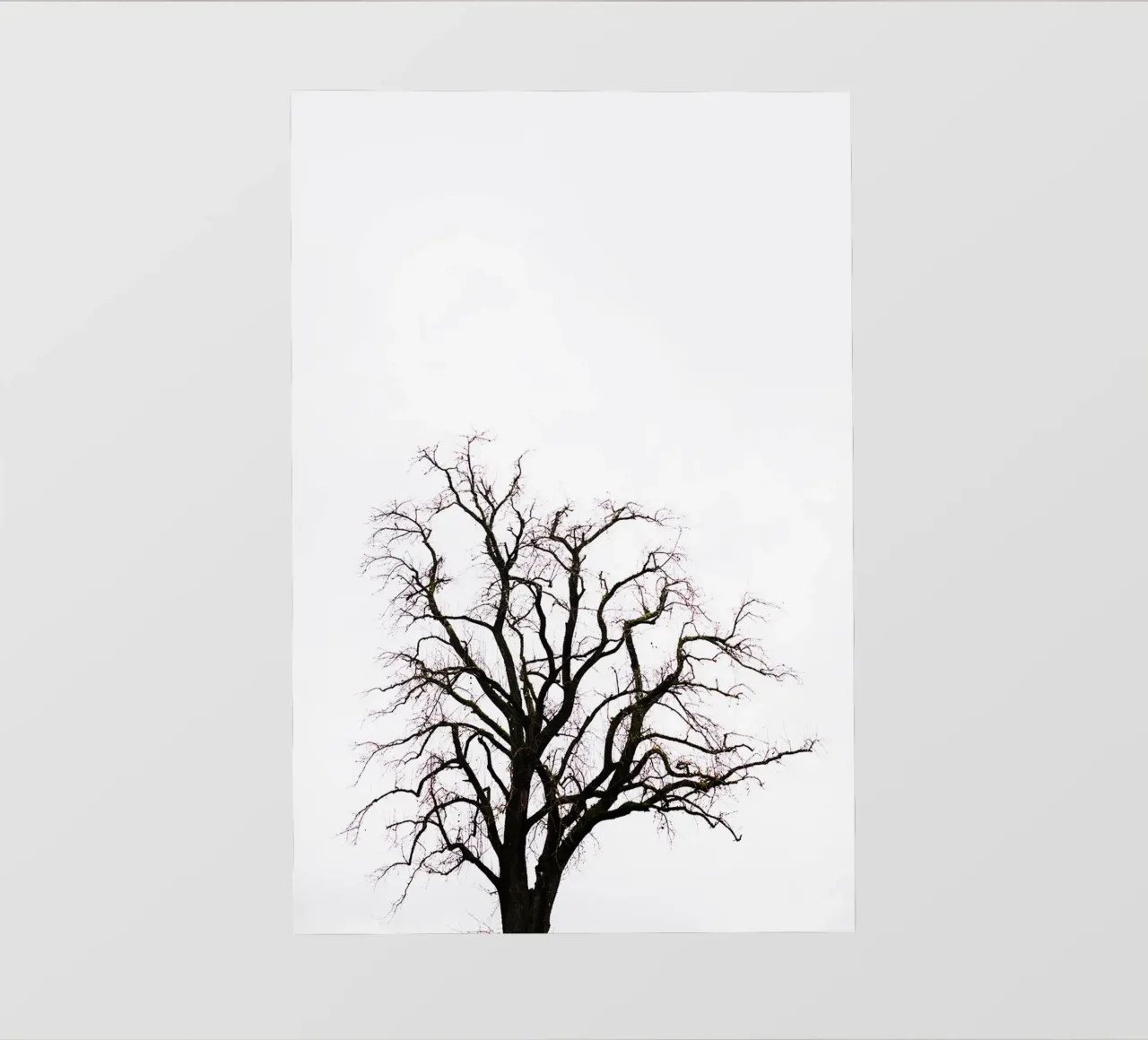 Albero in Carinzia (Austria) telo in pvc da Simon Koy