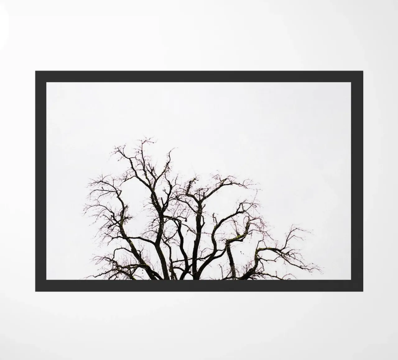 Albero in Carinzia (Austria) zerbino da Simon Koy