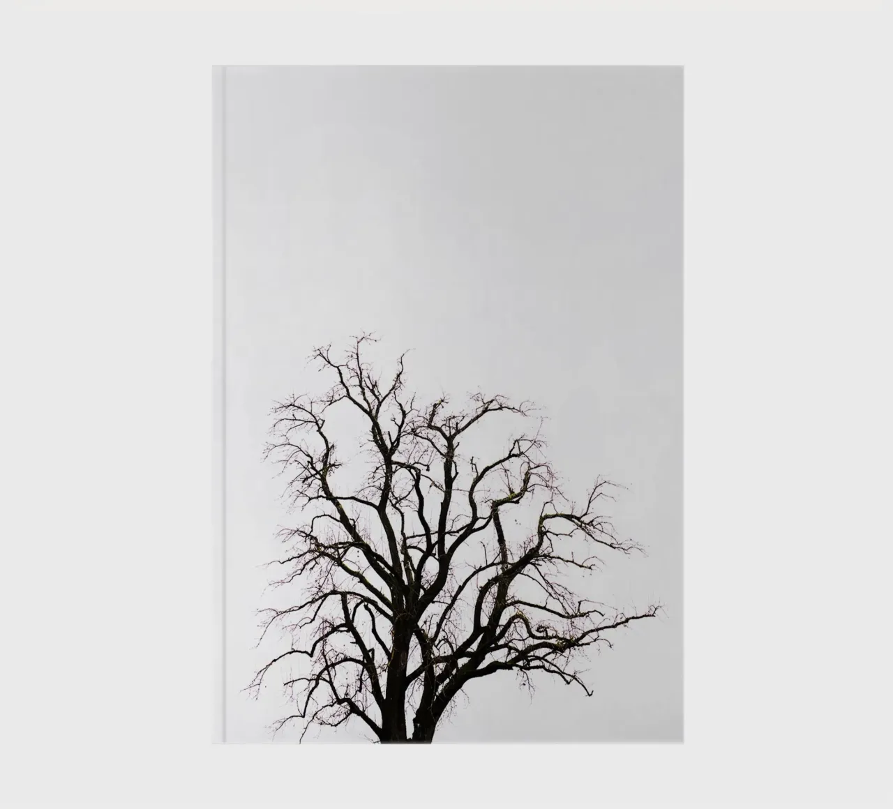 Tree in Carinthia (Austria) notebook by Simon Koy