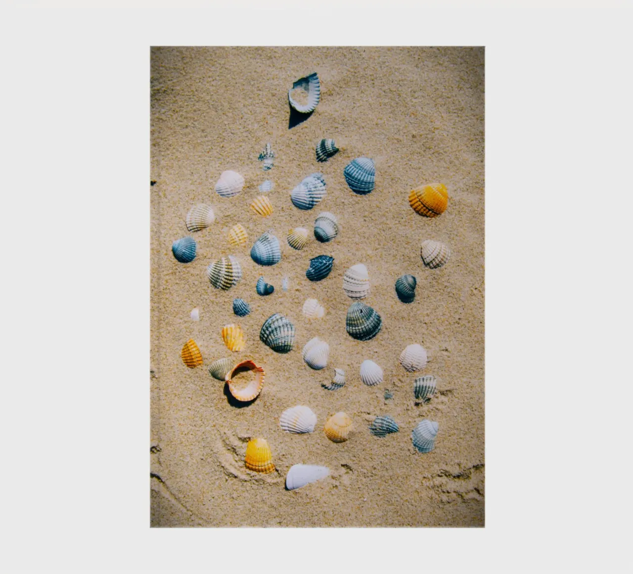 Shells on the sand – the ocean's eternal mark notebook by Nature's Palette
