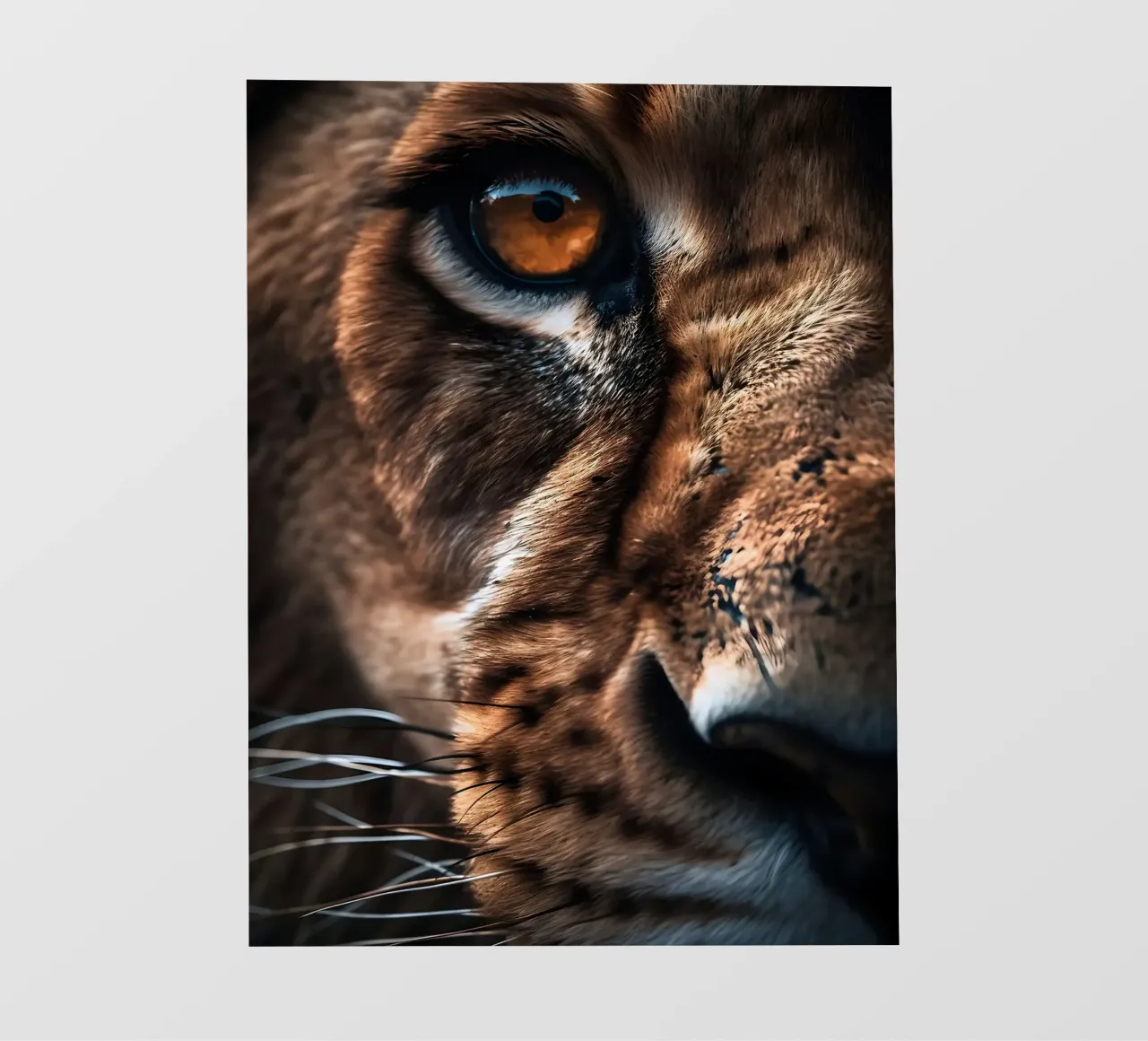 Betoverende leeuwenoog macro backlit folie van Liam Johnson