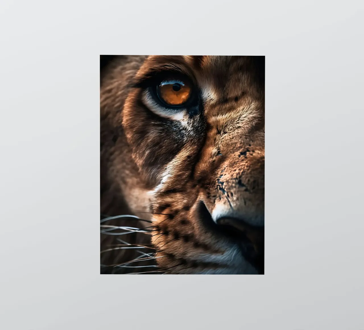 Betoverende leeuwenoog macro sticker van Liam Johnson