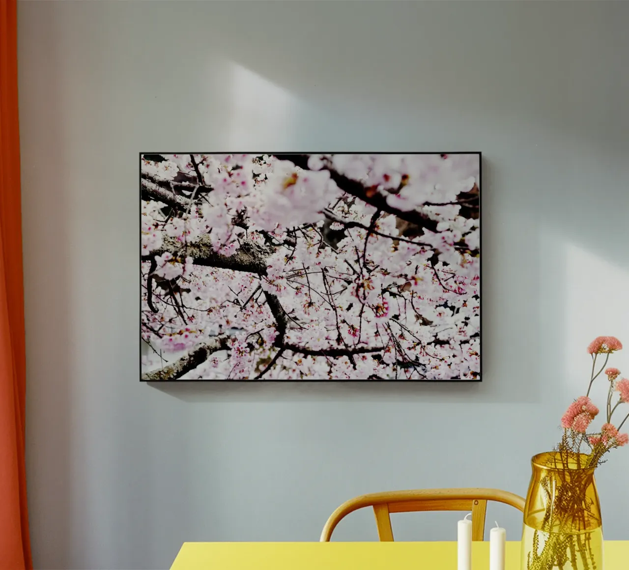 Lo splendore dei ciliegi in fiore in Giappone plexiglass da Simon Koy
