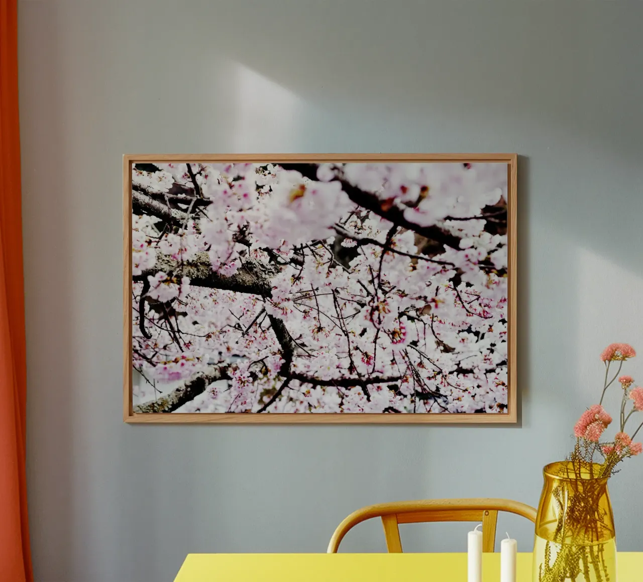 Lo splendore dei ciliegi in fiore in Giappone pannello forex da Simon Koy