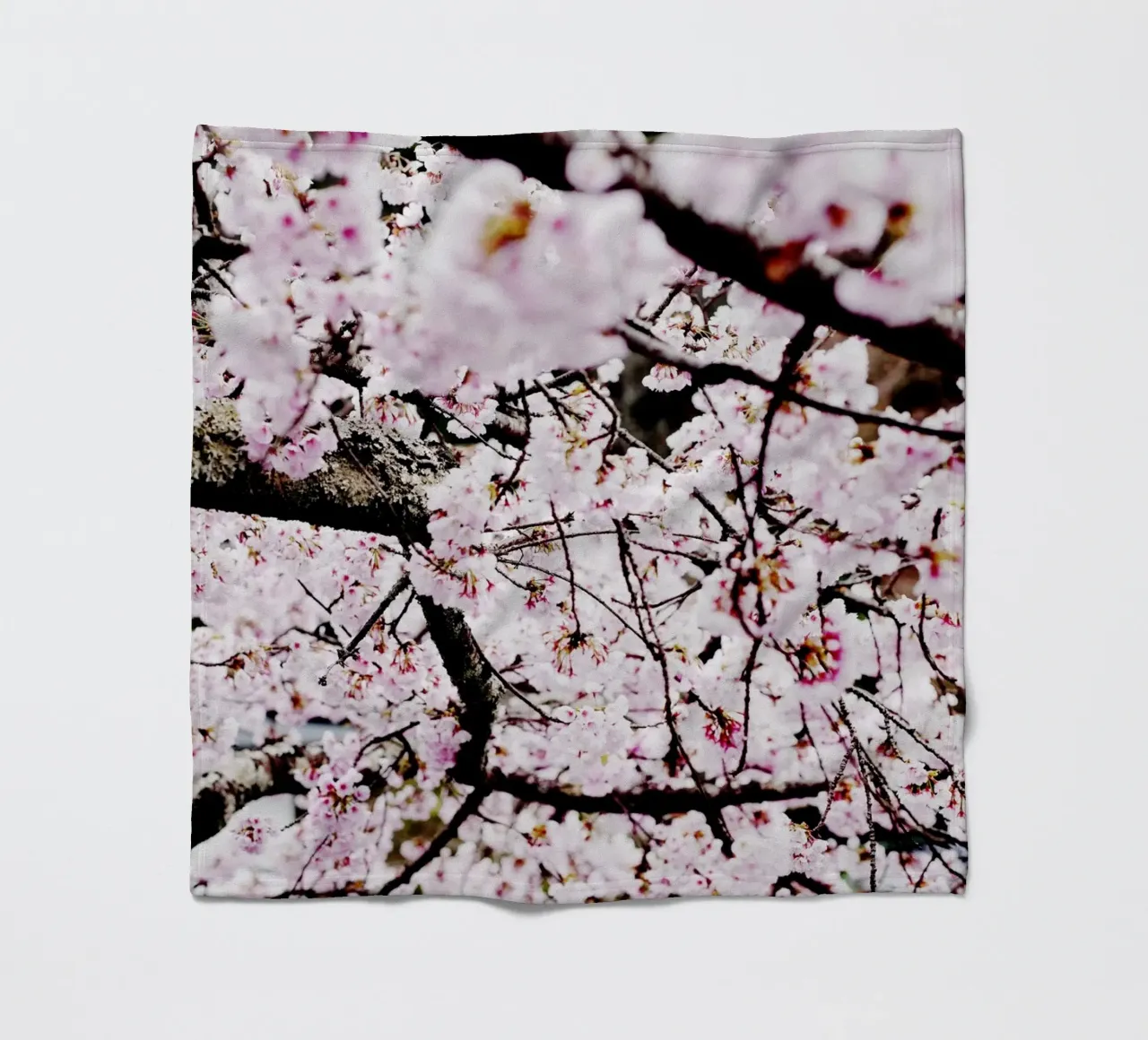 Lo splendore dei ciliegi in fiore in Giappone coperta in pile da Simon Koy