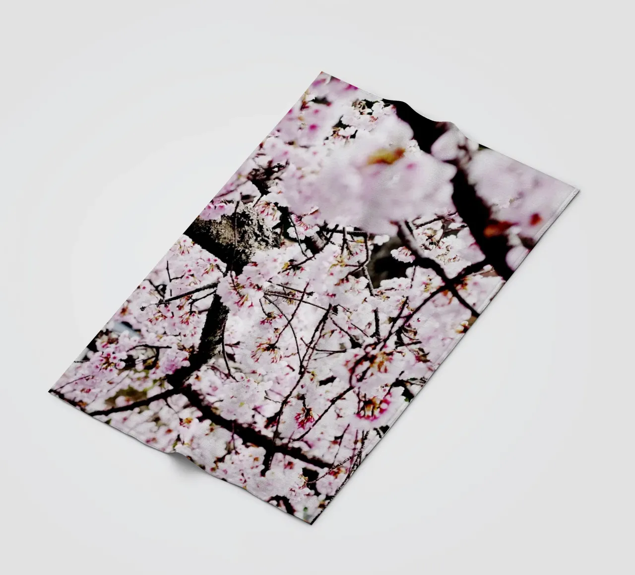 Lo splendore dei ciliegi in fiore in Giappone coperta in pile da Simon Koy