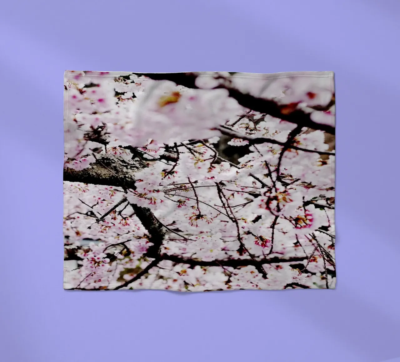 Lo splendore dei ciliegi in fiore in Giappone coperta in pile da Simon Koy