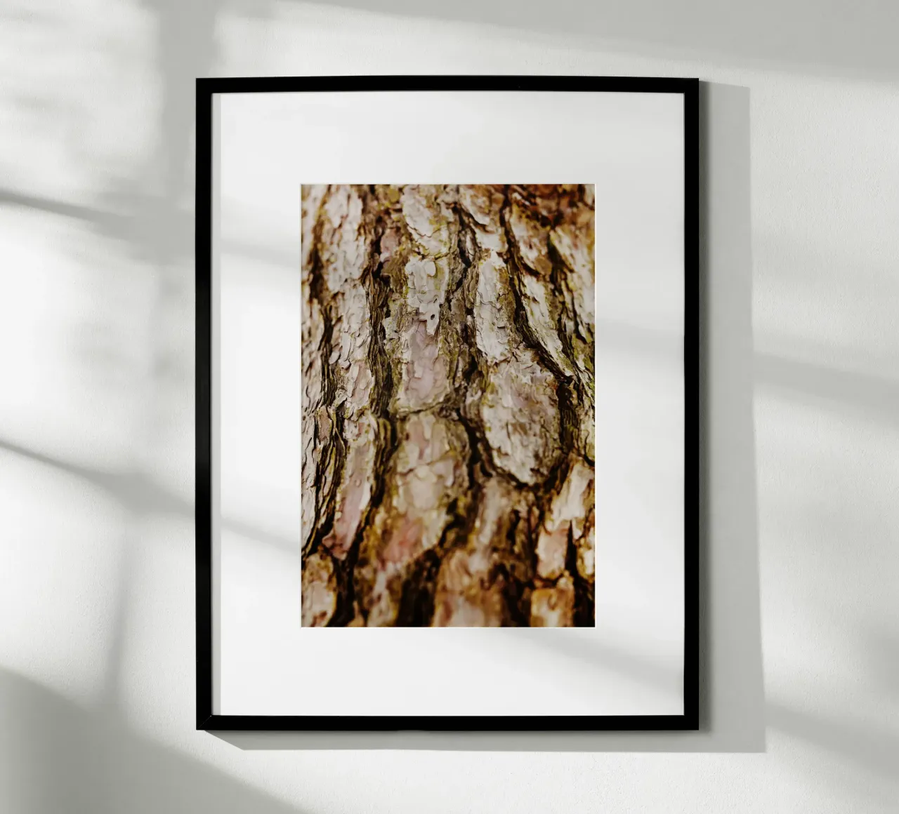 Dettaglio della corteccia di un albero in Giappone carta hahnemühle da Simon Koy