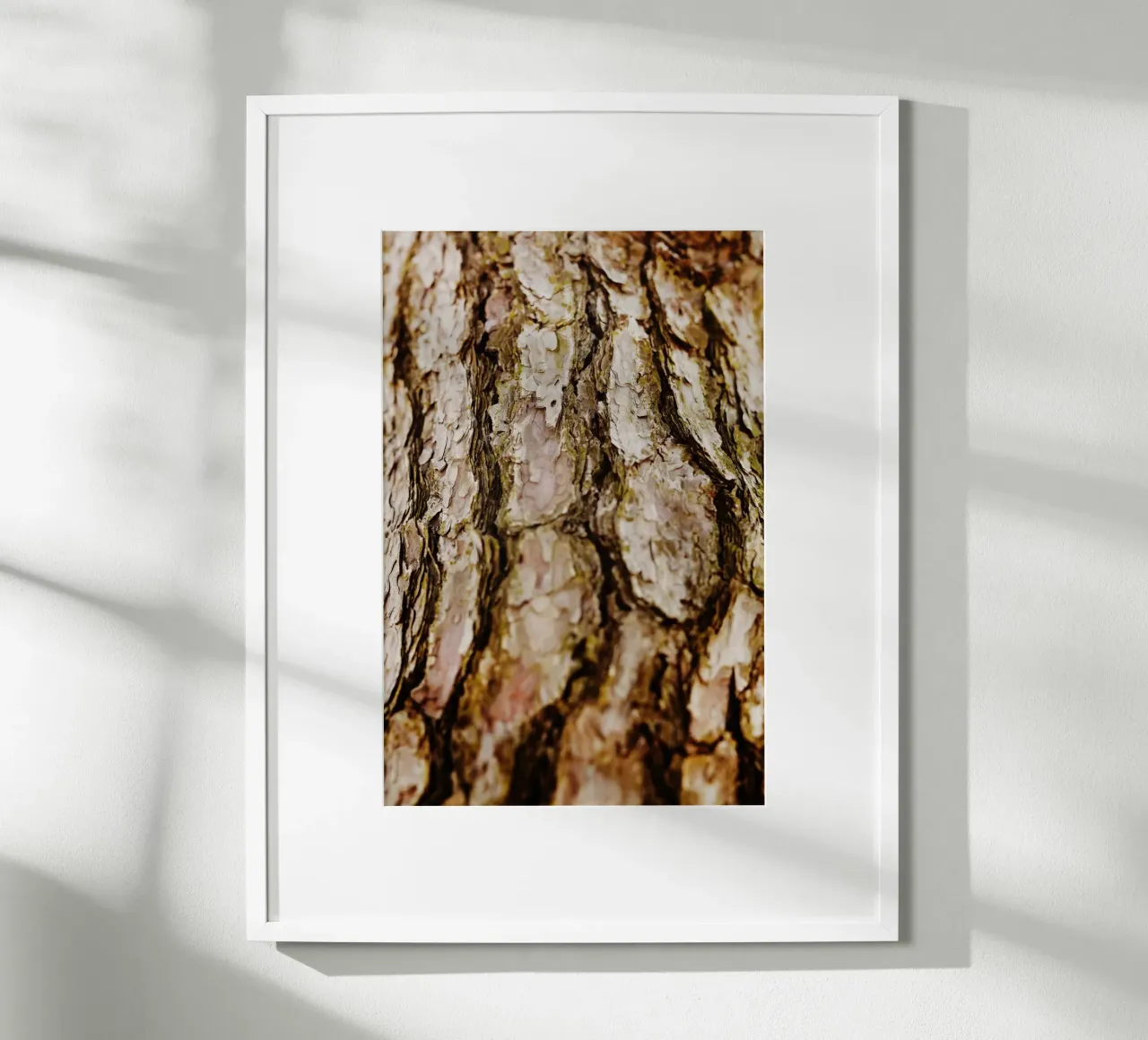 Dettaglio della corteccia di un albero in Giappone carta hahnemühle da Simon Koy
