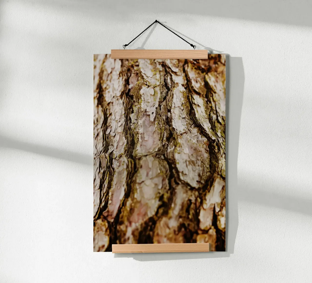 Dettaglio della corteccia di un albero in Giappone carta hahnemühle da Simon Koy