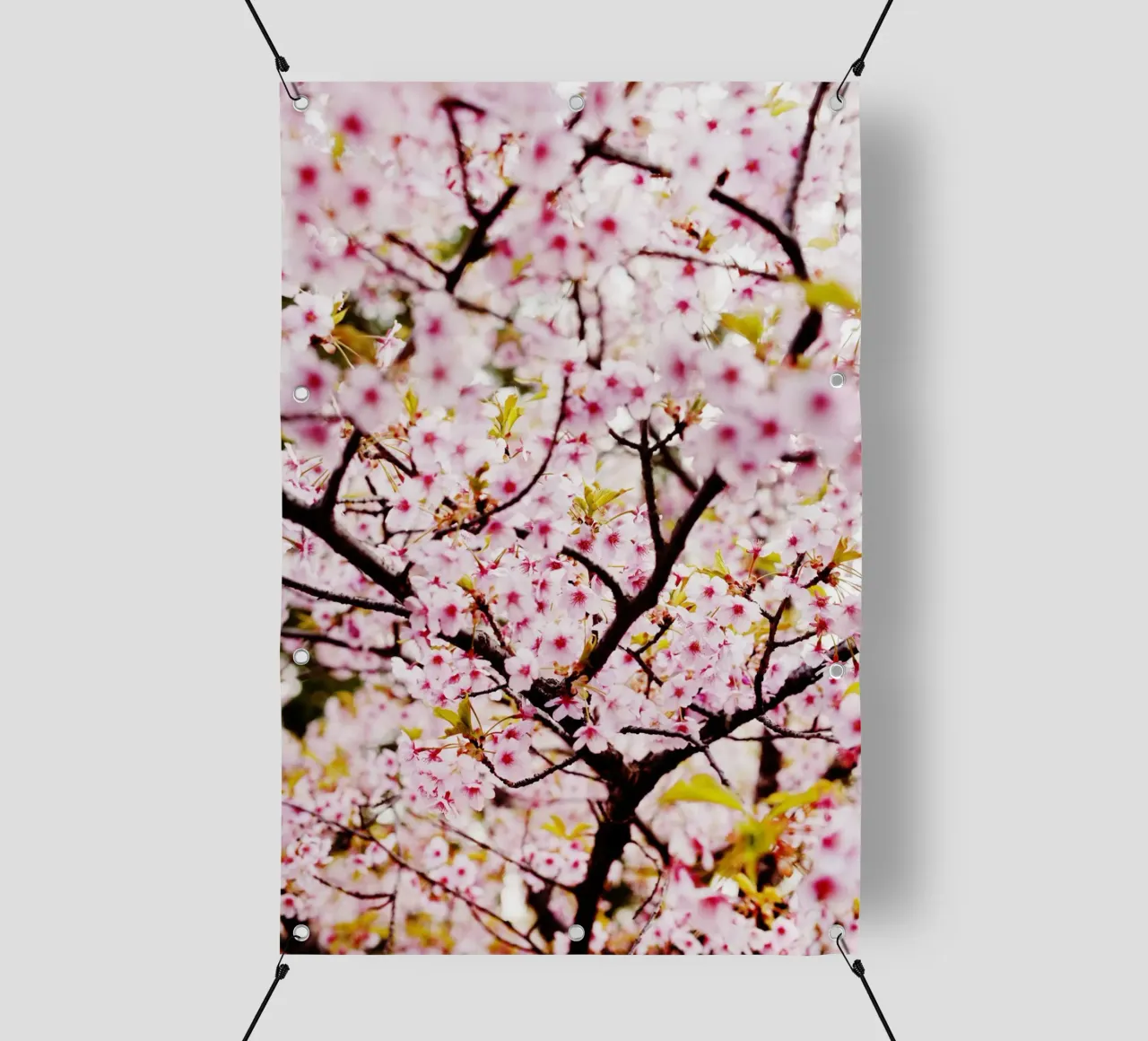 Fiori di ciliegio in Giappone telo in pvc da Simon Koy