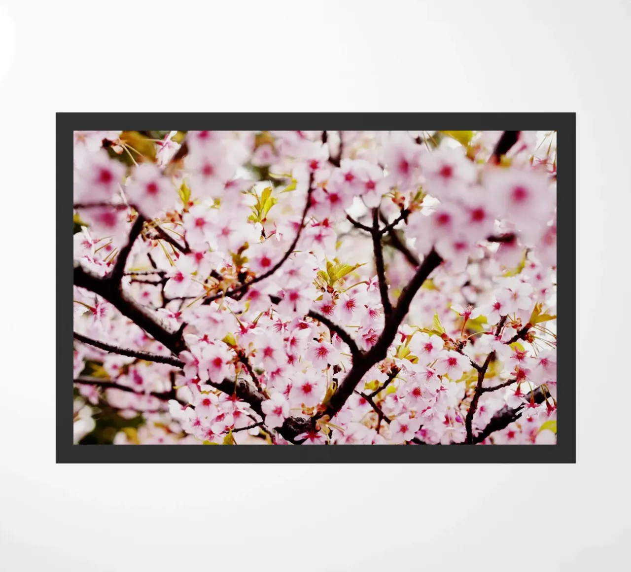 Fiori di ciliegio in Giappone zerbino da fotokunst