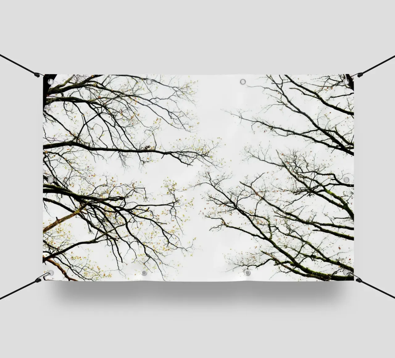 Albero tedesco telo in pvc da Simon Koy