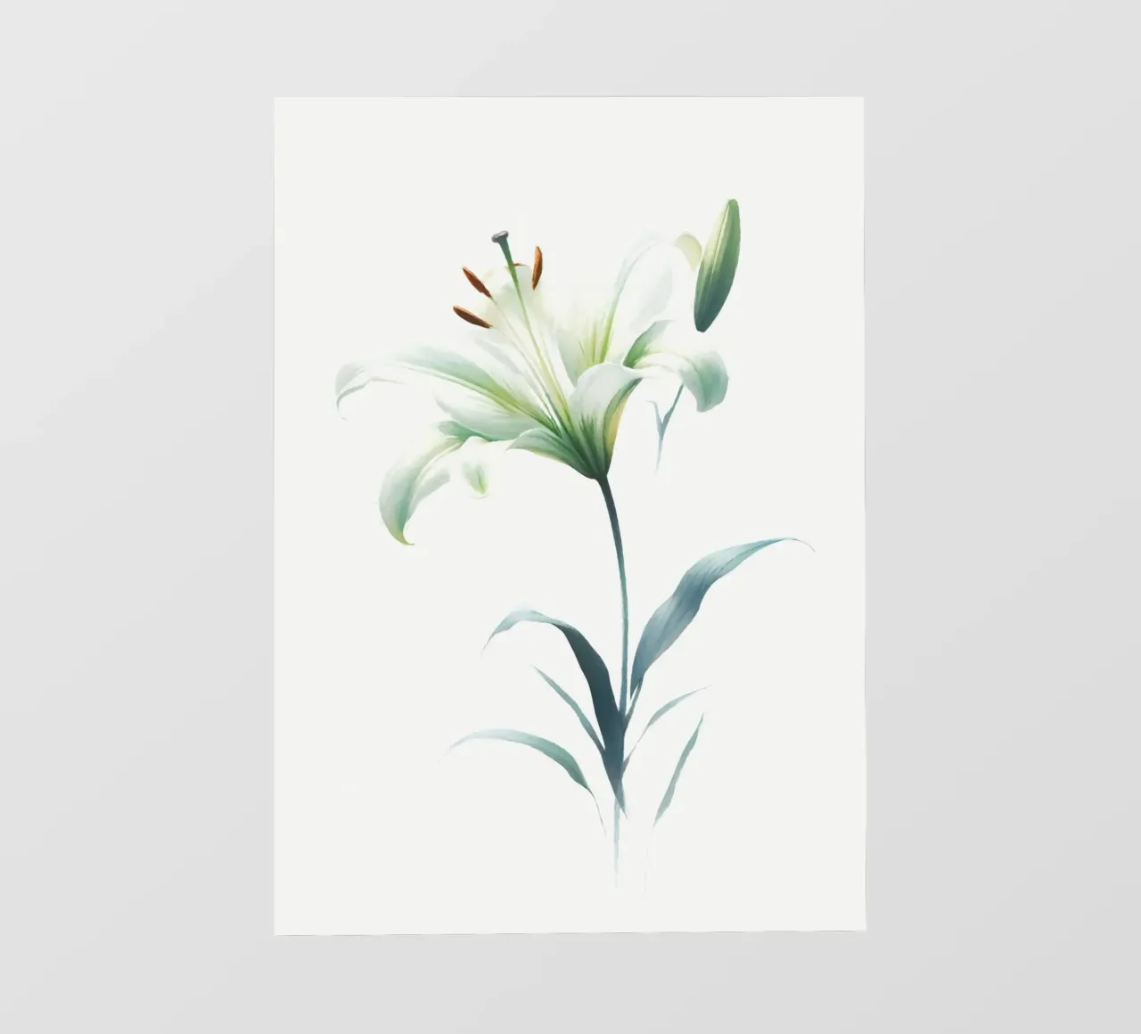 Pittura digitale minimalista di fiori di giglio pellicola backlit da Bloom And Brush