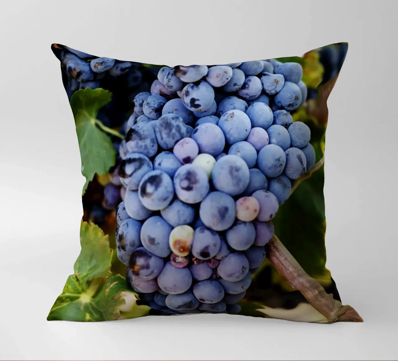 Uva, Provenza cuscino da Simon Koy