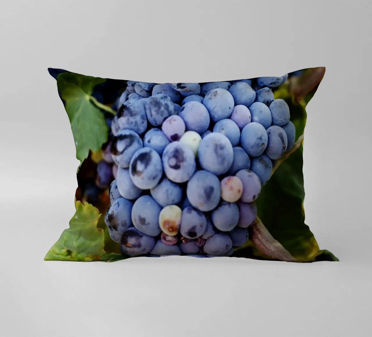 Uva, Provenza cuscino da Simon Koy