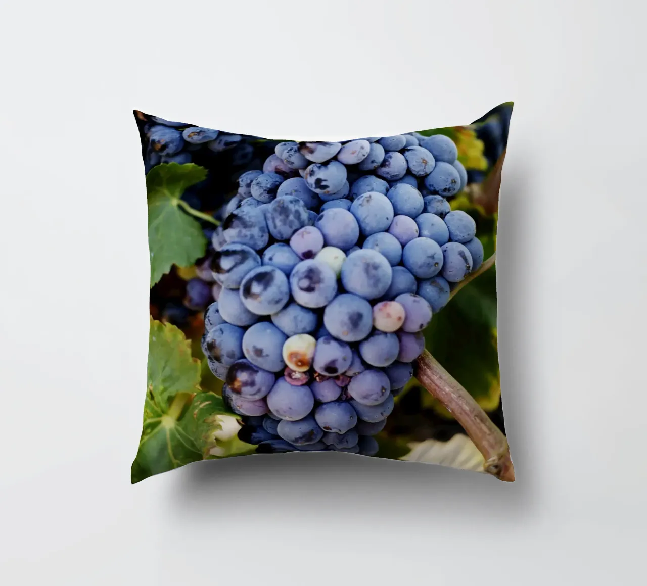 Uva, Provenza cuscino da Simon Koy