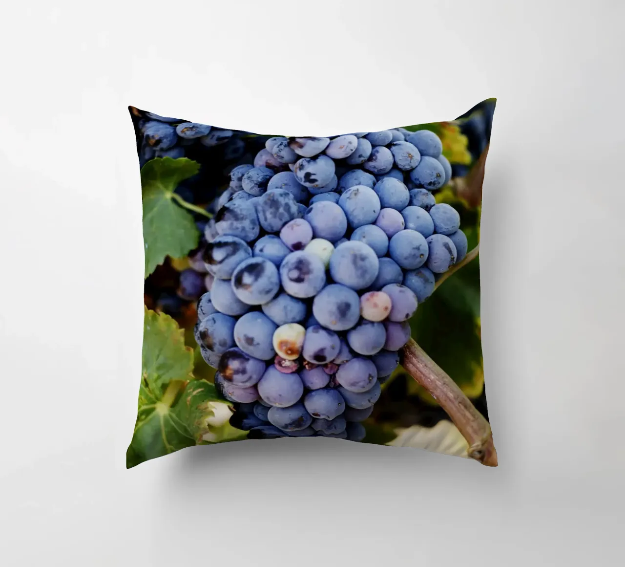 Uva, Provenza cuscino da Simon Koy