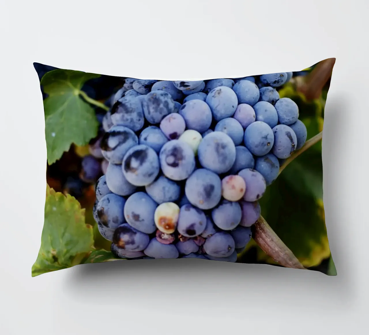 Uva, Provenza cuscino da Simon Koy