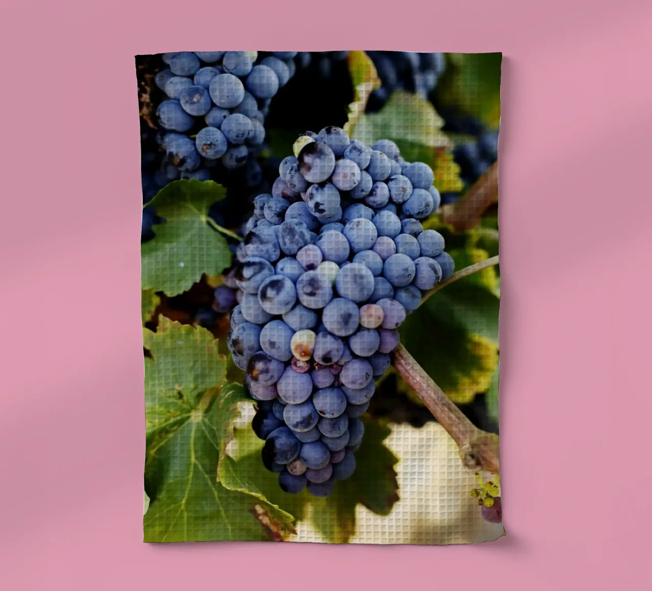 Uva, Provenza canovaccio da cucina da Simon Koy