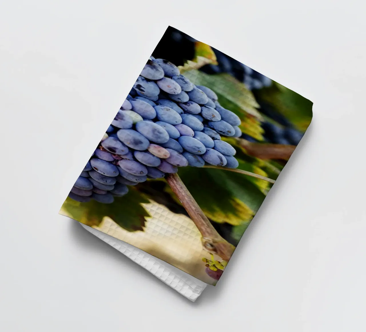 Uva, Provenza canovaccio da cucina da fotokunst