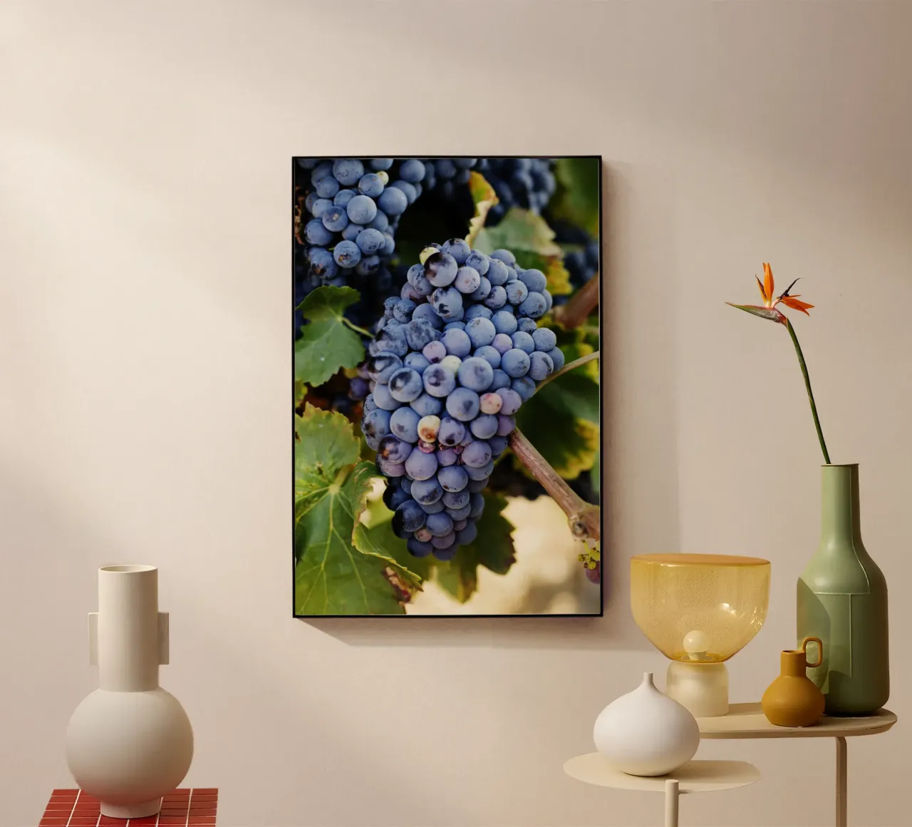 Uva, Provenza plexiglass da fotokunst