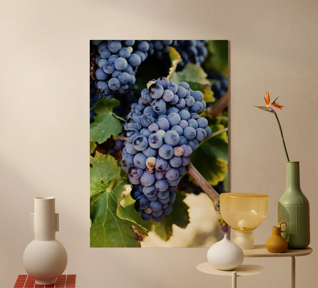 Uva, Provenza plexiglass da fotokunst