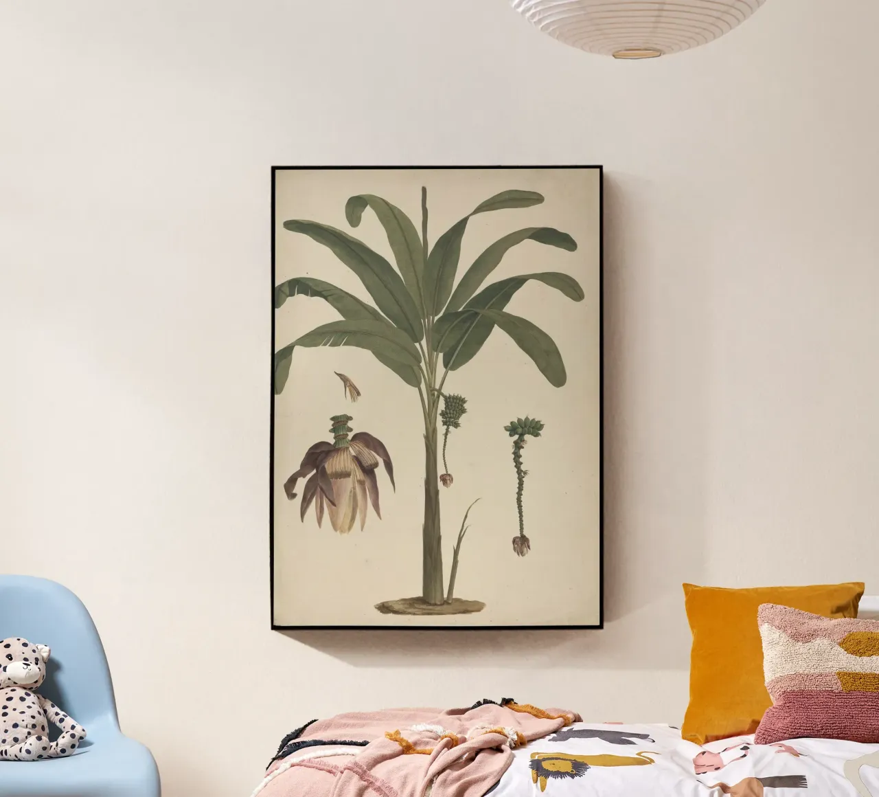 Musa x sapientum L. (Banana plexiglass da vintageshop