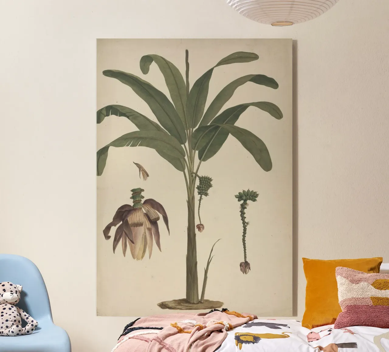 Musa x sapientum L. (Banana plexiglass da vintageshop
