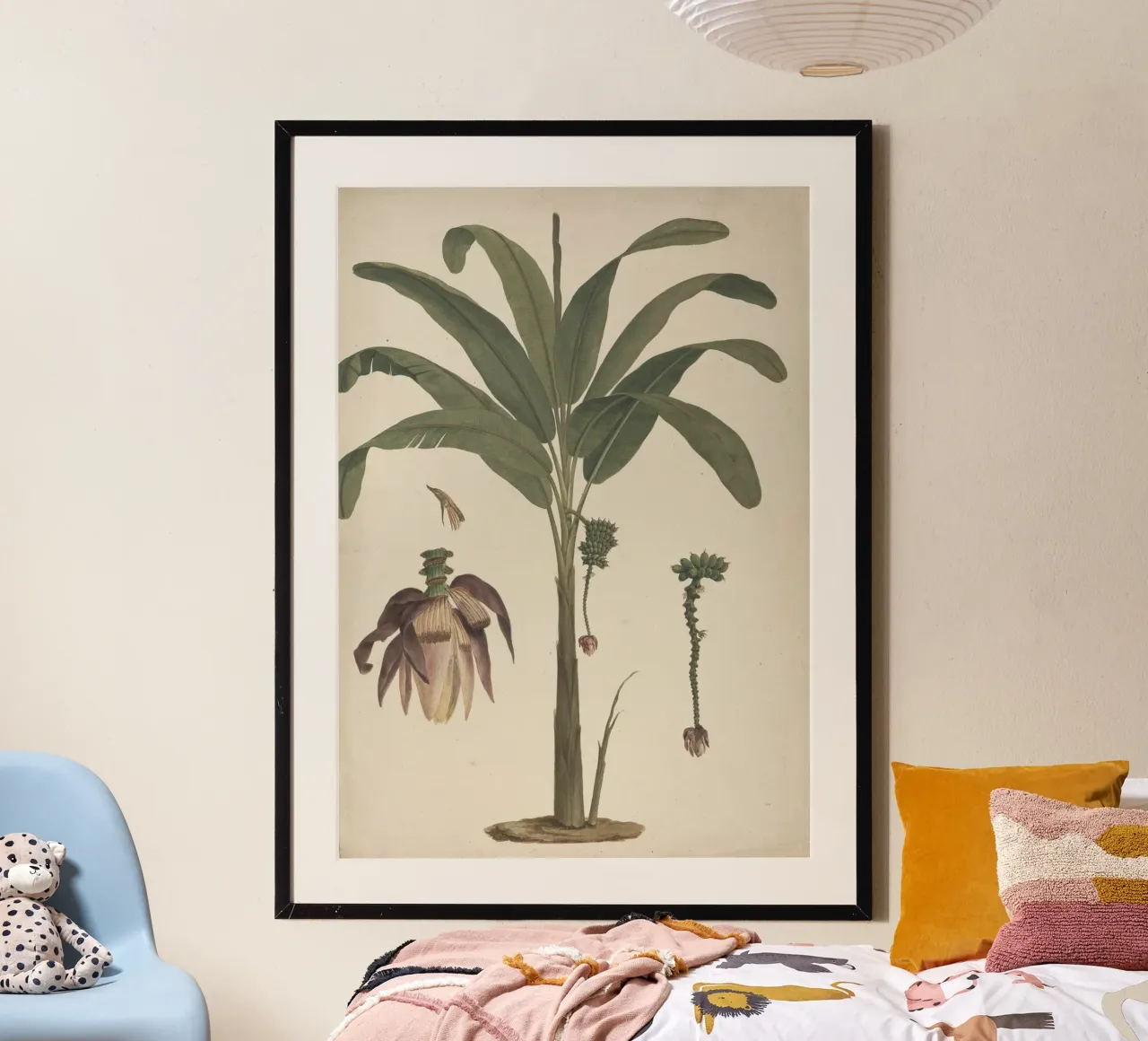 Musa x sapientum L. (Banana carta hahnemühle da vintageshop