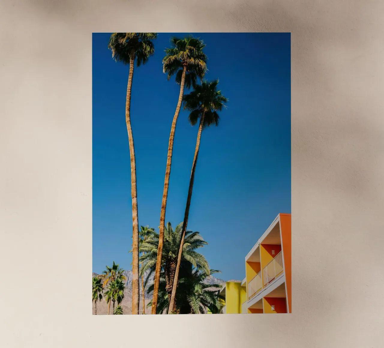 Palm Springs Vibes pellicola backlit da lennytravers