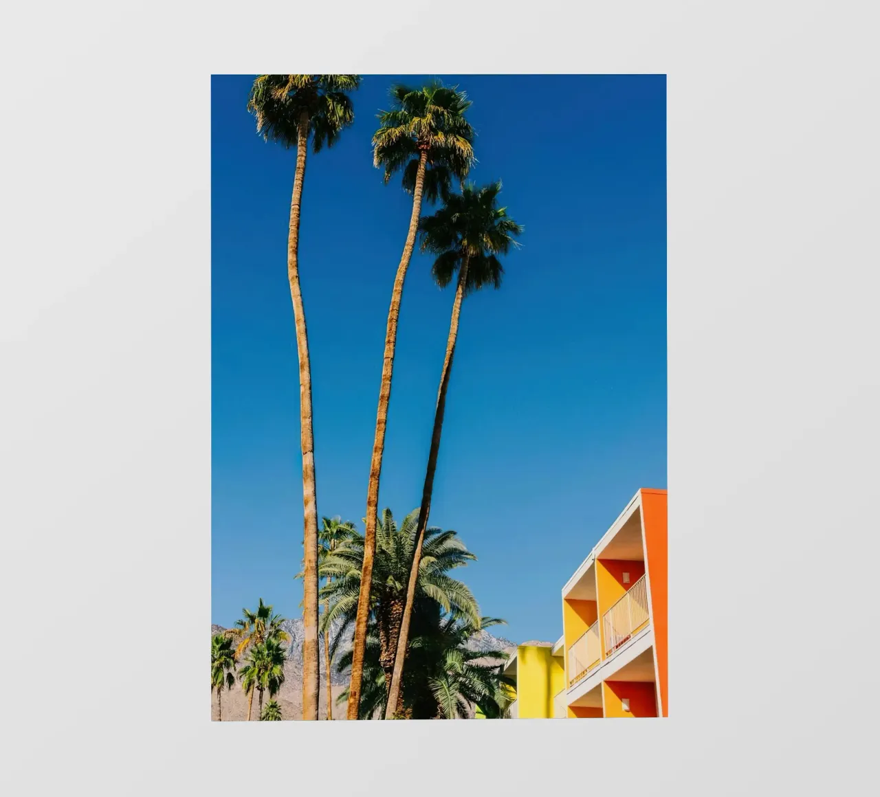 Palm Springs Vibes pellicola backlit da lennytravers