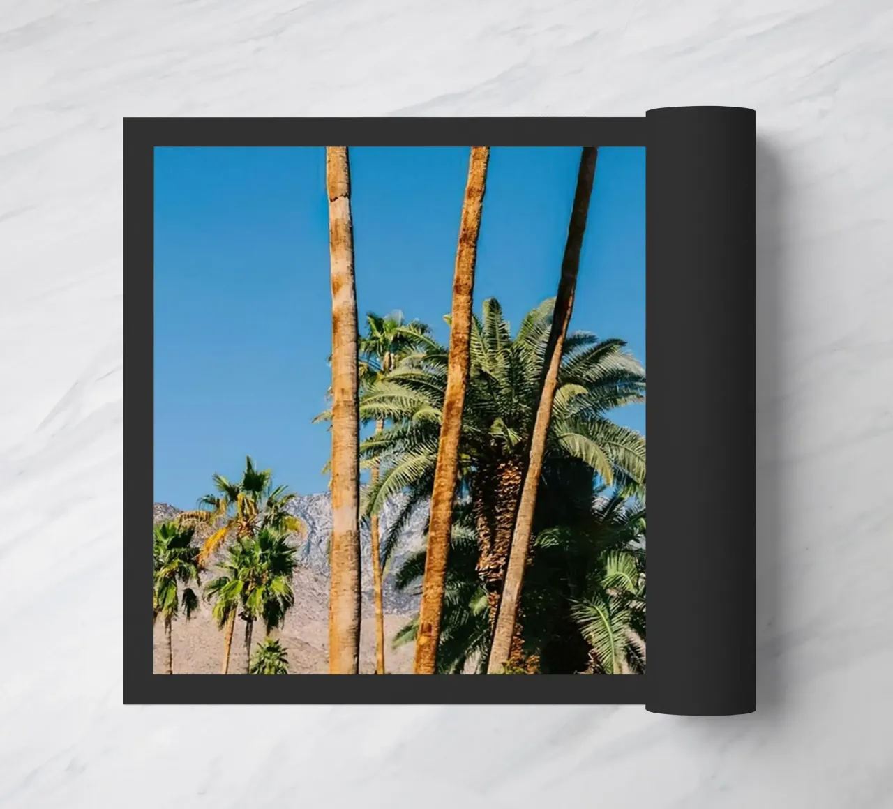 Palm Springs Vibes zerbino da lennytravers