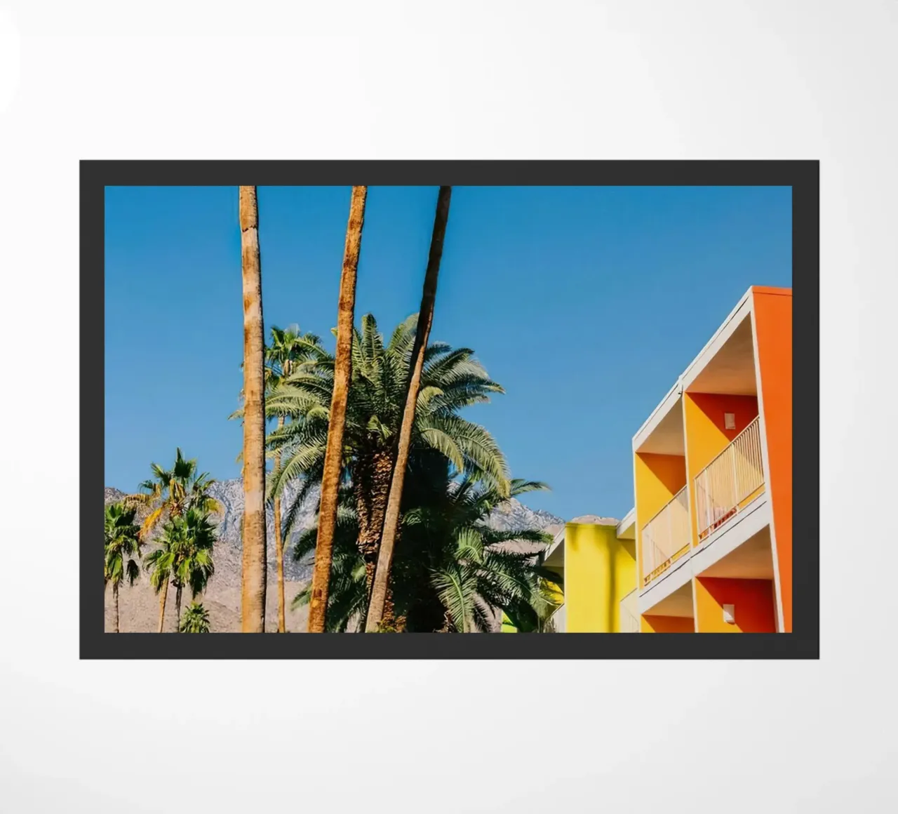 Palm Springs Vibes zerbino da lennytravers