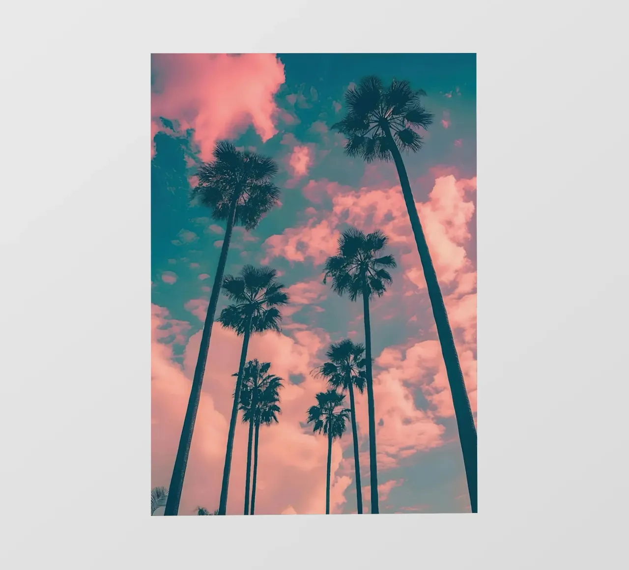 Pink Sky With Palm Trees pellicola backlit da Leonard Barreiro