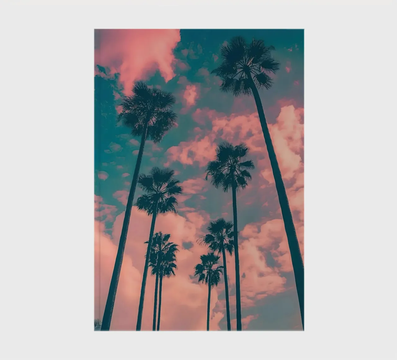 Pink Sky With Palm Trees diario da Leonard Barreiro