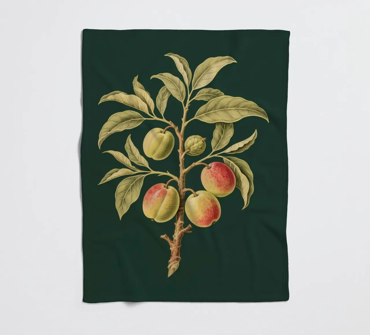 Impianto Erbis coperta in pile da knowledge