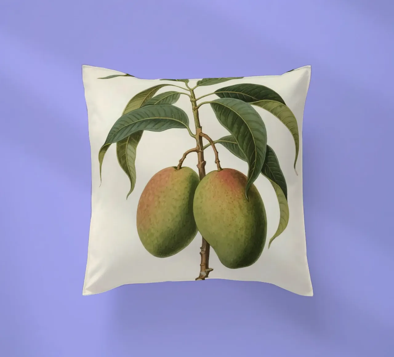 Pianta di mango cuscino da knowledge