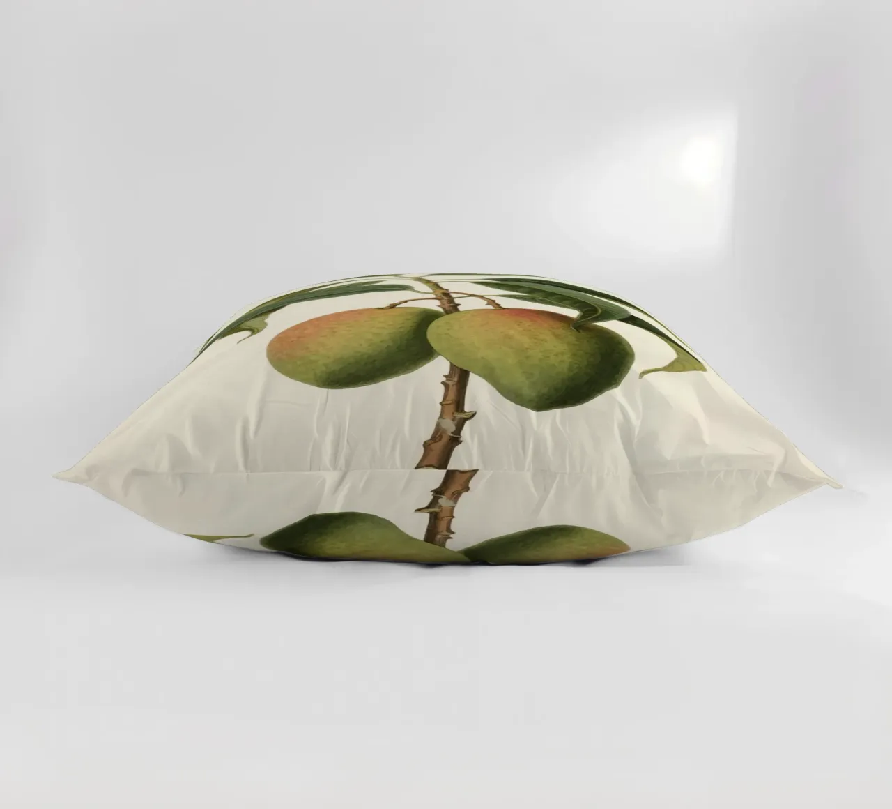 Pianta di mango cuscino da knowledge