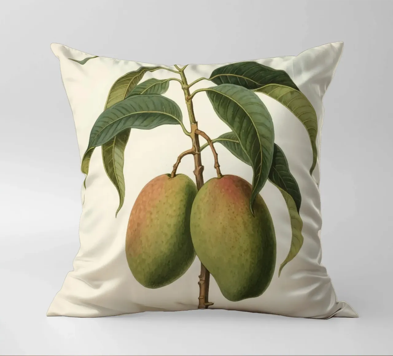 Pianta di mango cuscino da knowledge