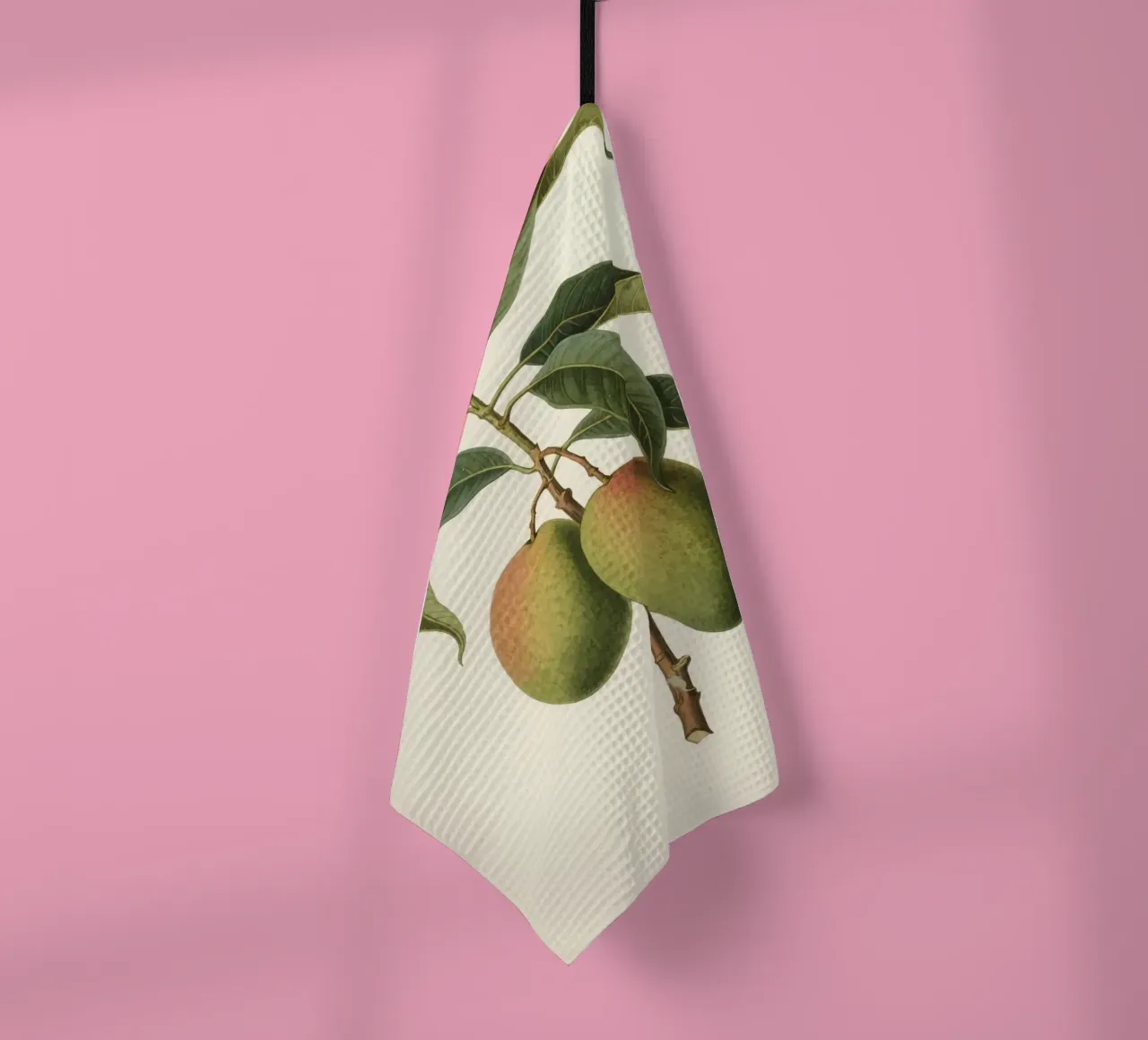 Pianta di mango canovaccio da cucina da knowledge
