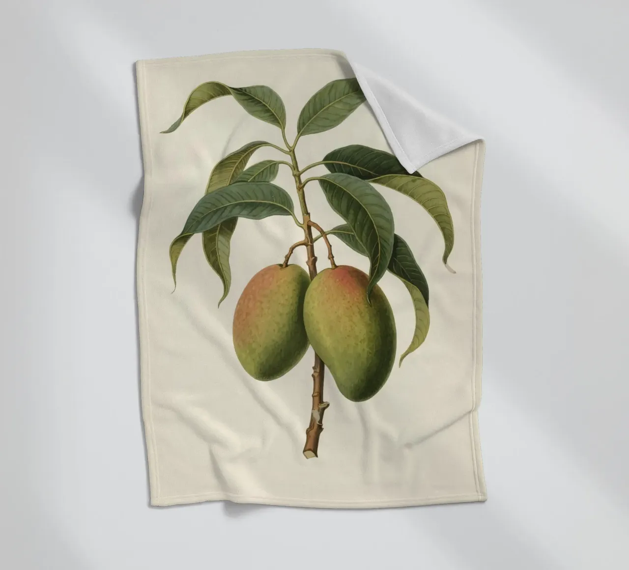 Pianta di mango coperta in pile da knowledge